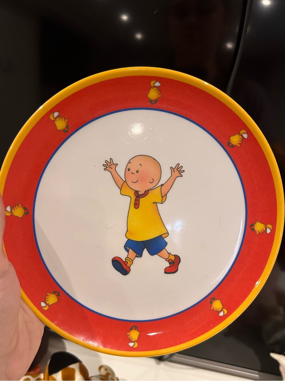 1999 caillou plate